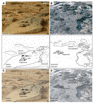 Illustration for article titled This Curiosity Image Suggests Microbial Life Once Existed On Mars